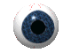 Picture of eyeball