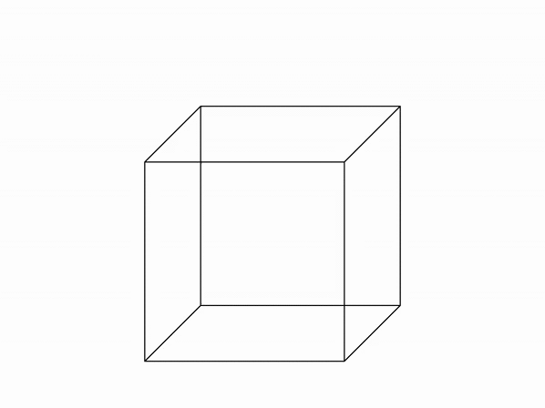 animated necker cube